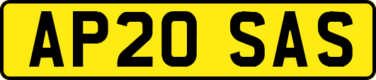 AP20SAS