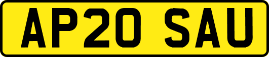 AP20SAU