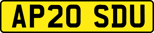 AP20SDU