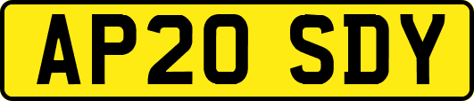 AP20SDY