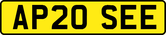AP20SEE