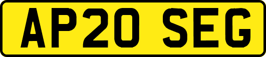 AP20SEG
