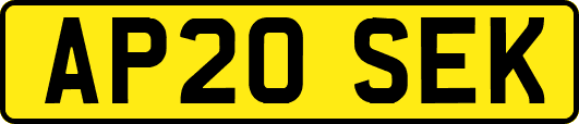 AP20SEK