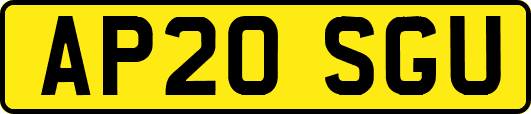 AP20SGU
