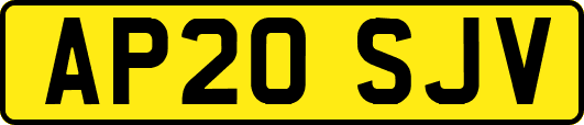 AP20SJV