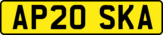 AP20SKA