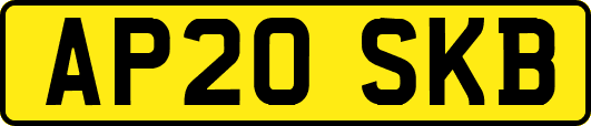 AP20SKB
