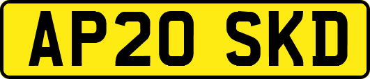 AP20SKD