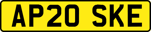 AP20SKE