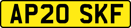 AP20SKF
