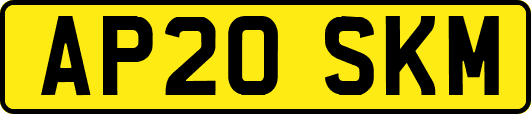 AP20SKM