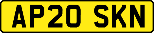 AP20SKN
