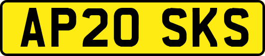 AP20SKS