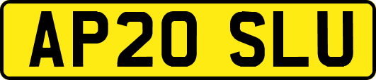 AP20SLU