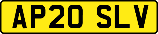 AP20SLV
