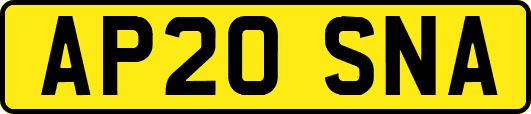 AP20SNA