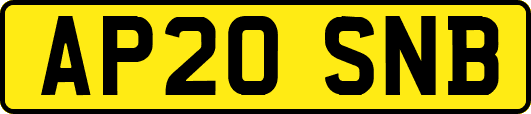AP20SNB