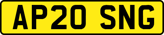 AP20SNG