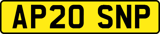 AP20SNP