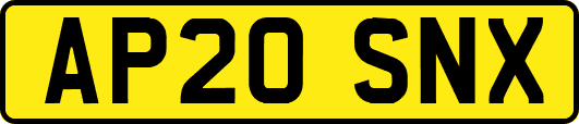 AP20SNX