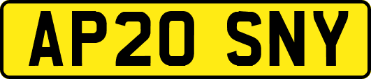 AP20SNY