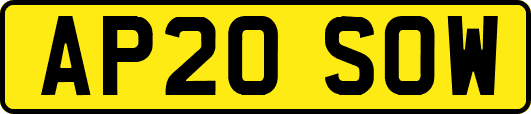 AP20SOW
