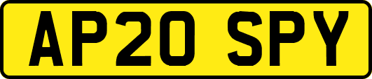 AP20SPY