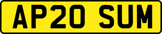 AP20SUM