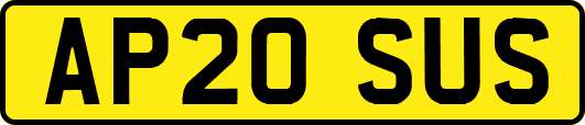 AP20SUS