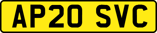 AP20SVC