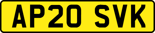 AP20SVK