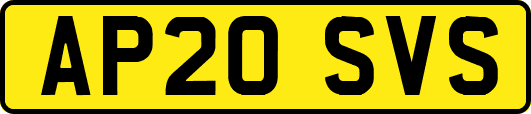 AP20SVS