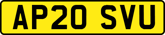 AP20SVU