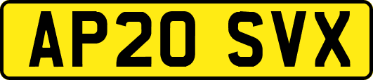 AP20SVX