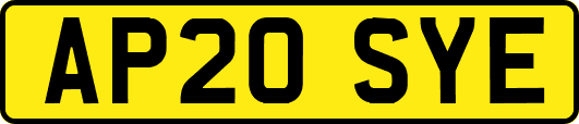 AP20SYE