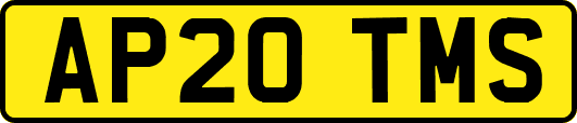 AP20TMS