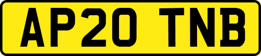 AP20TNB
