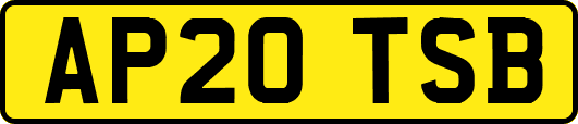 AP20TSB