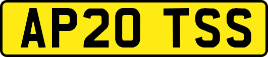 AP20TSS