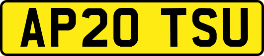 AP20TSU