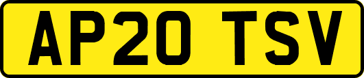 AP20TSV