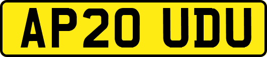 AP20UDU