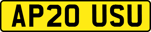 AP20USU