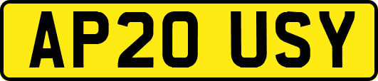AP20USY
