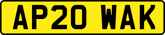 AP20WAK
