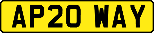 AP20WAY