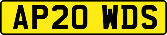 AP20WDS