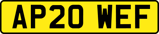 AP20WEF