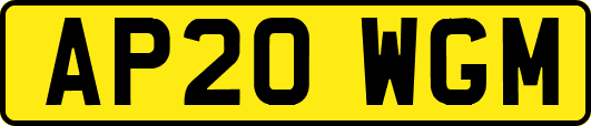 AP20WGM