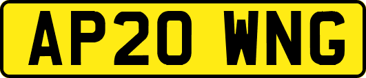 AP20WNG